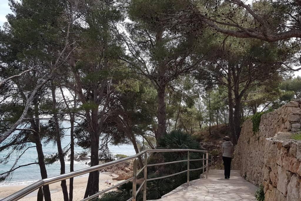 Atico De Diseno Sobre La Cala De Las Sirenas!! ميامي بلاتجا المظهر الخارجي الصورة