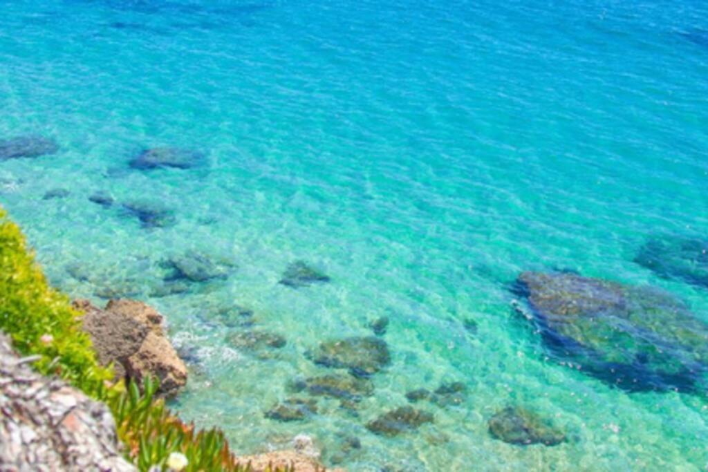 Atico De Diseno Sobre La Cala De Las Sirenas!! ميامي بلاتجا المظهر الخارجي الصورة