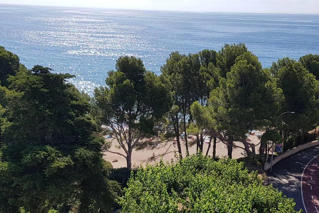 Atico De Diseno Sobre La Cala De Las Sirenas!! ميامي بلاتجا المظهر الخارجي الصورة